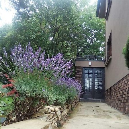 Apartman V Zahrade Praha Troja - Apartment In The Garden Prague Troja Εξωτερικό φωτογραφία